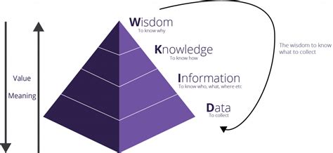 tq data mcq village|what does the dikw pyramid represent.